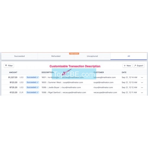 tcbe跨境电商 Stripe Gateway PRO Apple Pay SCA 3D Secure